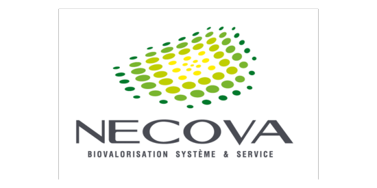 logo necova identite visuelle