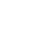 icone memoire marque pro